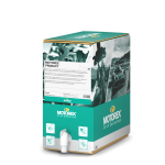 MOTOREX - Antigel M4.0 - 20L [nou 02.2025]